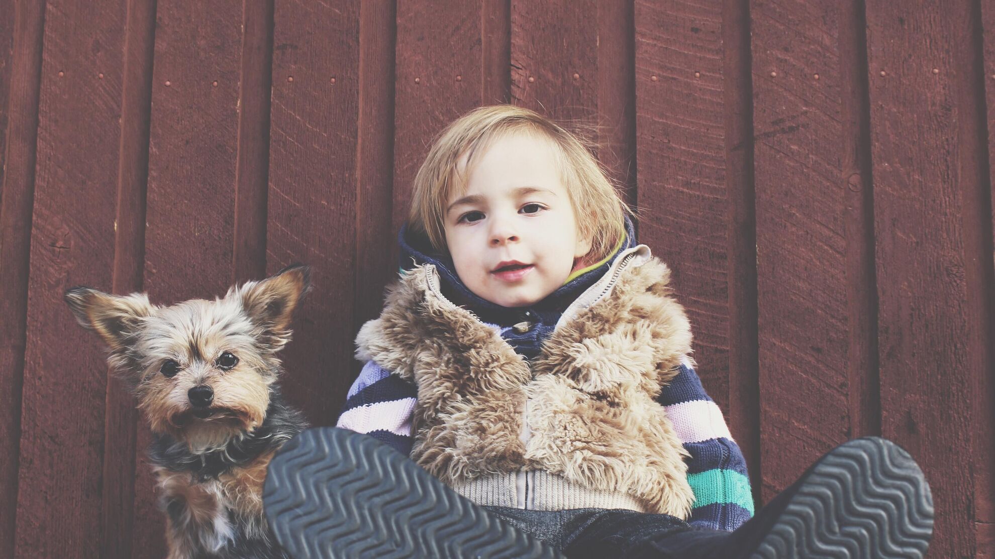 Ребенок скажет спасибо: покупка собаки изменит его жизнь навсегда - Raketanews.ru, 29.08.2023