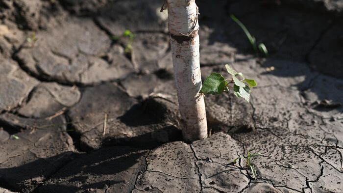 Засуха по всему миру скоро доберется и до России - Raketanews.ru, 01.09.2023