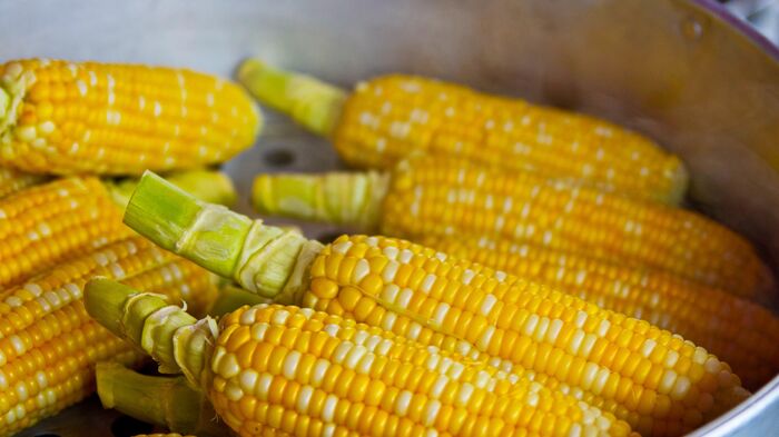 Будет мягкой и сочной: так кукуруза приготовится за пять минут - Raketanews.ru, 05.09.2023