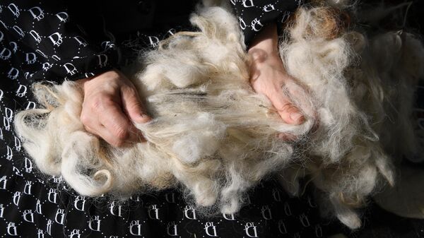 Избавиться от кошачьей шерсти можно: опытные хозяйки стирают одежду так - Raketanews.ru, 08.09.2023
