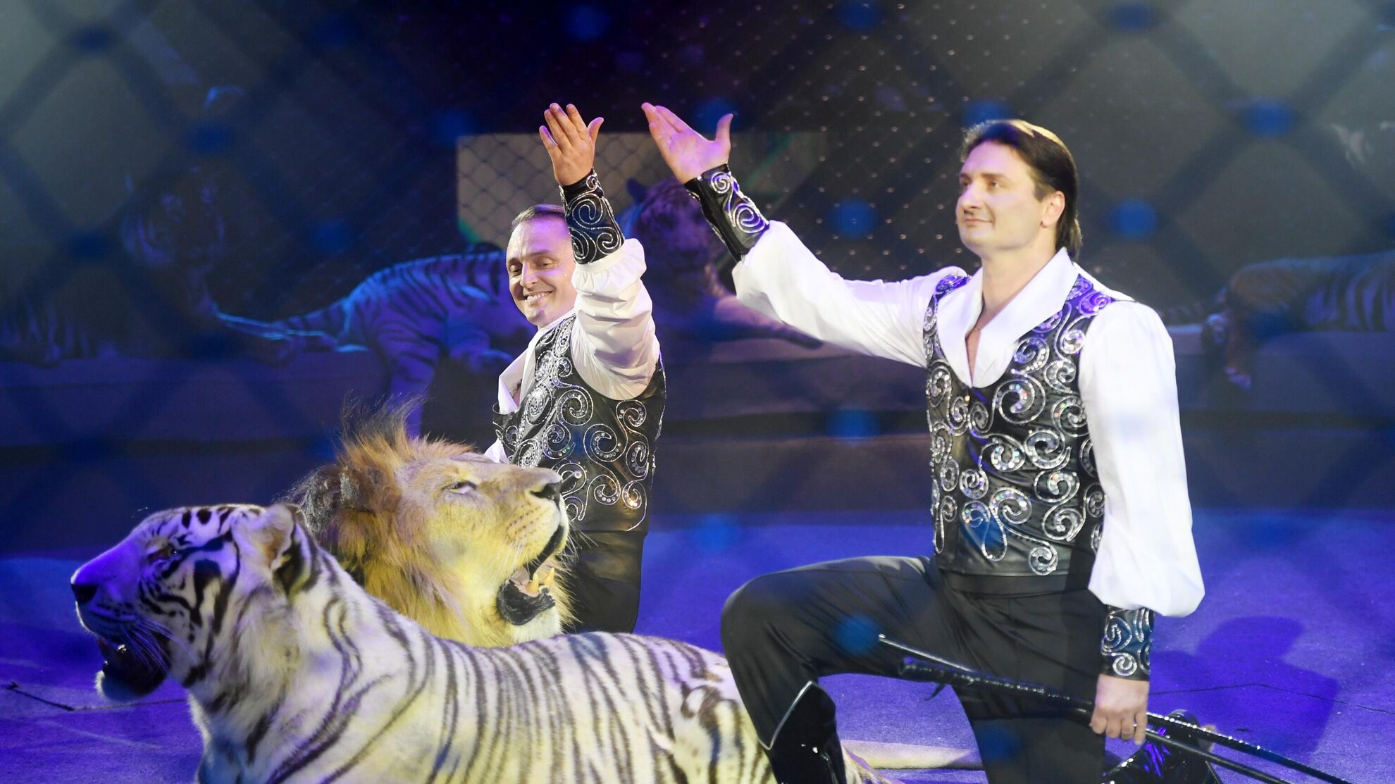 Воспитательная методика Запашных возмутила россиян: циркачей призвали к ответу - Raketanews.ru, 10.10.2023