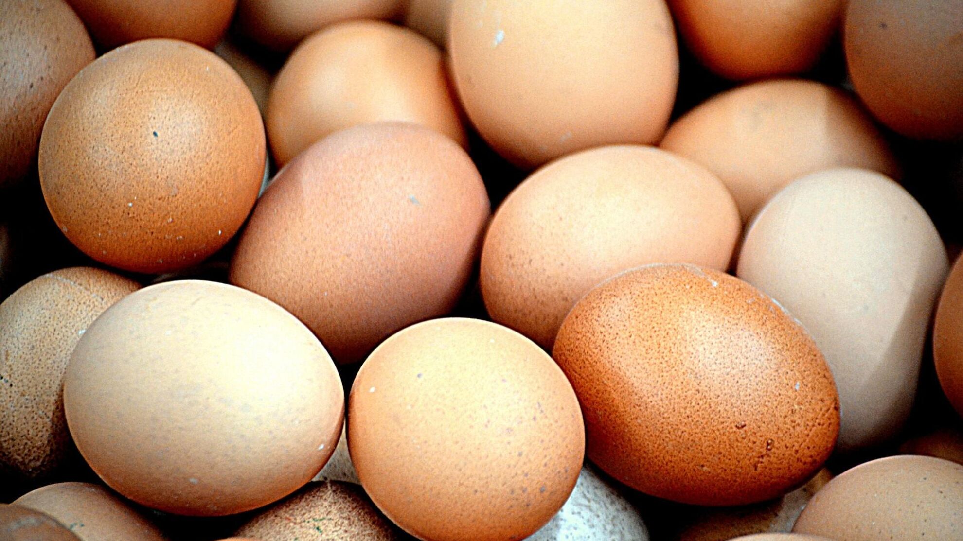 Яйца сварятся в разы быстрее и не треснут: вот что добавить в воду - Raketanews.ru, 17.05.2024