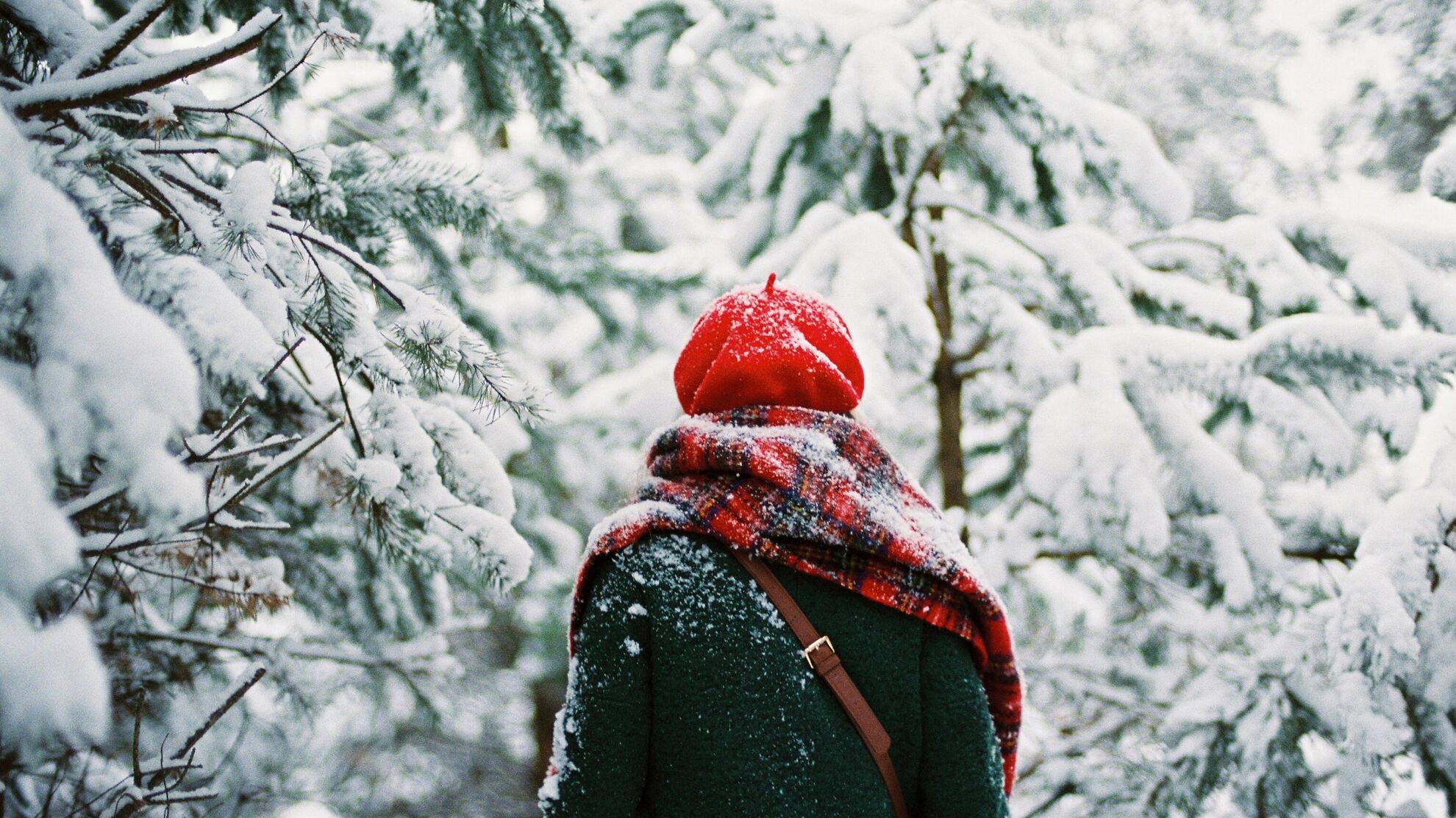 Как выбрать зимнюю одежду и не выглядеть нелепо? Лисовец назвал главные тренды сезона - Raketanews.ru, 27.11.2023