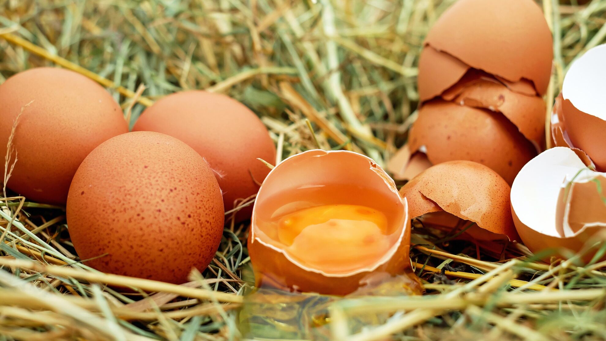 Не знаете, какие яйца лучше покупать? Вот чем коричневые отличаются от белых - Raketanews.ru, 21.12.2023