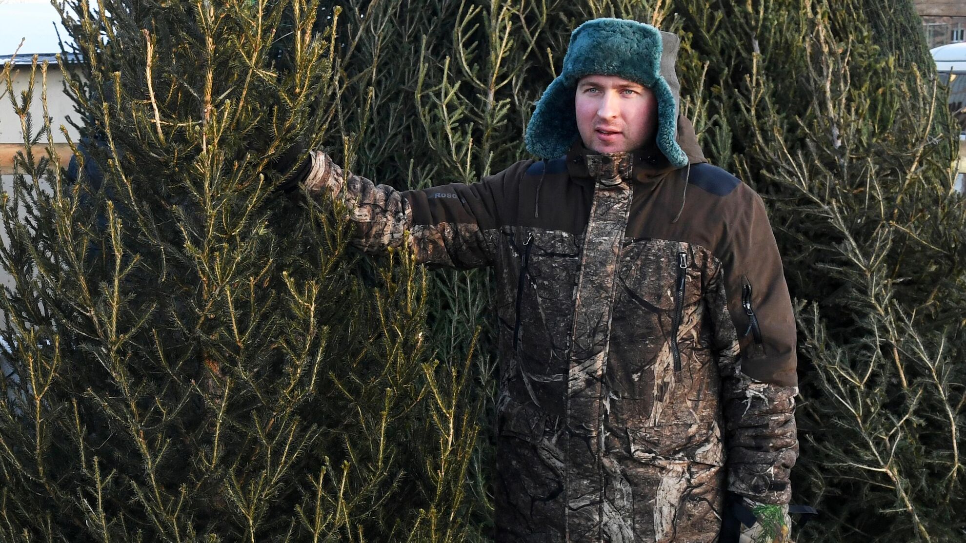 Можно ли срубить елку на Новый год в лесу? Депутат объяснил правила - Raketanews.ru, 17.12.2023